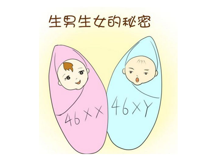 香港验DNA一定要有胎心胚芽才行吗？图片
