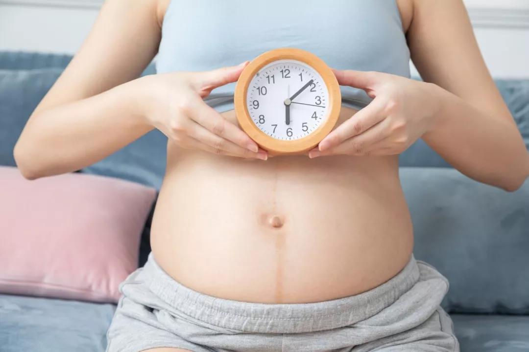 怀孕期间的检查时间是什么图片