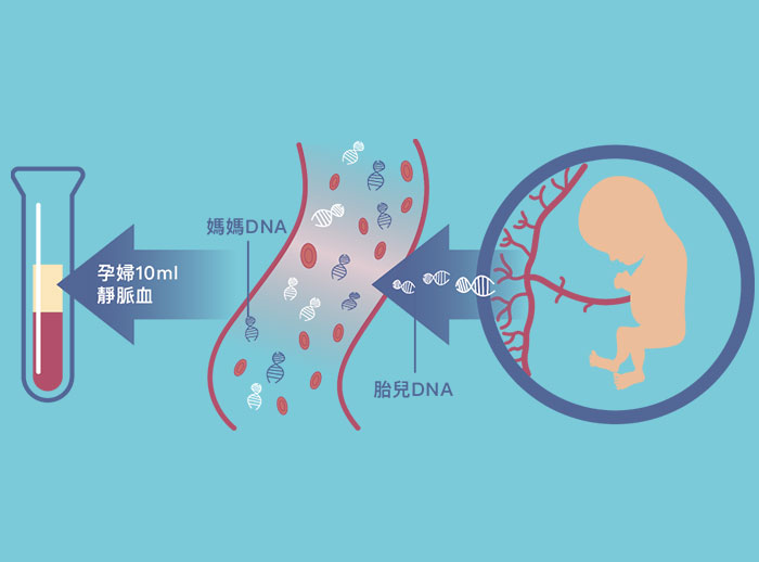 无创DNA检测的技术原理：图片