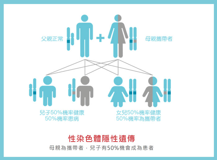 单基因遗传疾病检测图片