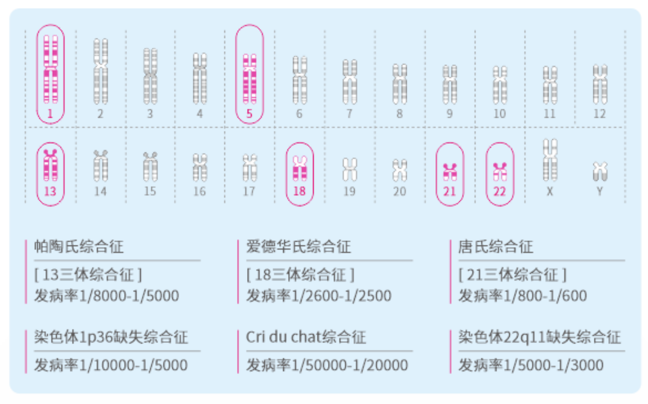 做无创DNA产前检测有风险吗？图片