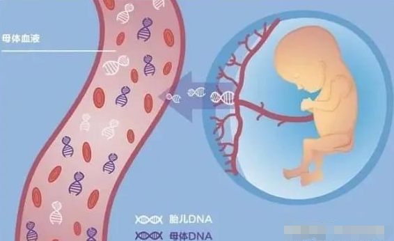 无创DNA检测适用和慎用的人群有哪些？图片