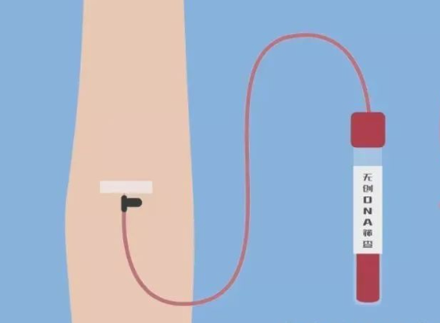 无创DNA检测：怀孕必知的抽血真相！图片