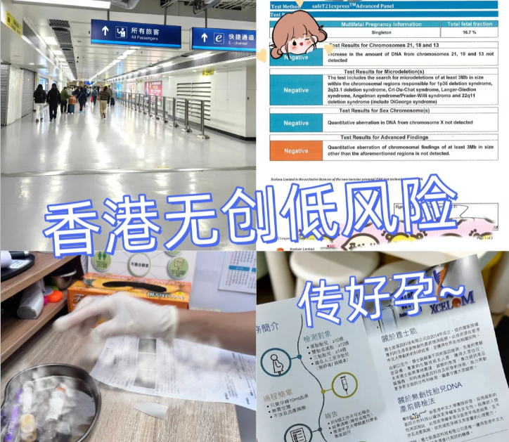 孕11周香港无创dna通关实录｜意外之喜的安心之旅图片