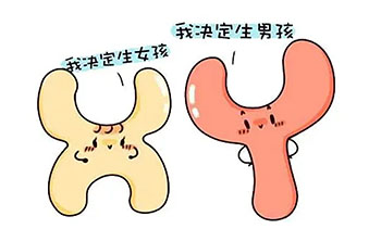 生男生女受父母智商影响吗？图片
