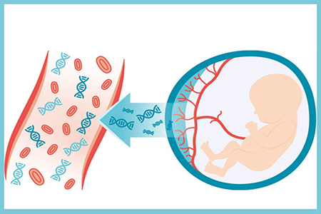 8a9ad8c91811d5 拷贝 8a9ad8c91811d5 拷贝