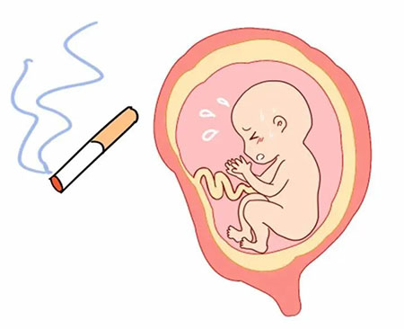 闻多了二手烟，胎儿会畸形？图片